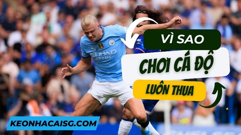 Tại sao 90% người chơi cá độ thua